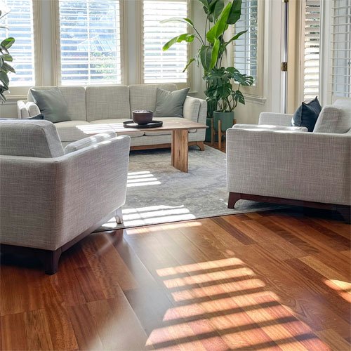 Nourison Rugs