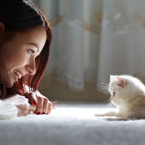 tiny white kitten laying on a carpet, in front of a woman laying down and staring at the kitten while smiling